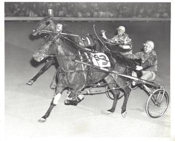 1965 Harness Racing Photo Horse Success Cameo Cleo Young Liberty Bell Park