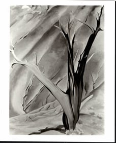 1987 - Photo -Gerald's Tree I painting Georgia O'Keeffe
