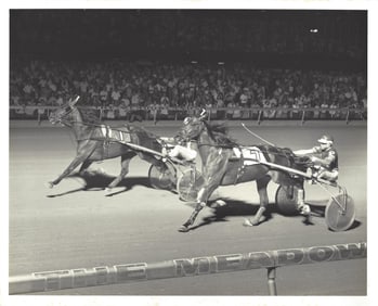 1980 Harness Racing Photo Horse "Summer Duke" Maurice Bergeron Meadowlands