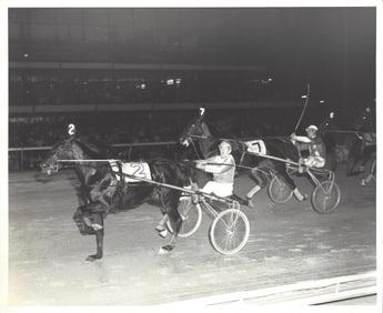 1970s Harness Racing Photo Horse "Surefire Hanover" Liberty Bell Park PA