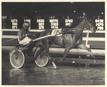 1989 Harness Racing Photo Horse "Mathers Streak" The Meadowlands