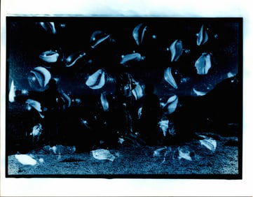 Original 1989 B&W Photographic Artistic Photo Effects.P