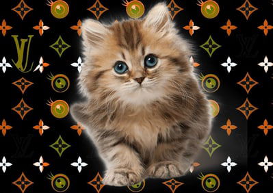 Pop Art Lithograph Print W/Certificated of Authenticity