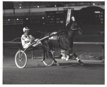 1982 Sportsman's Park. Cicero, Illinois Race Track