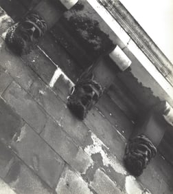 Hanneli Plemmons, Pont Neuf, Paris Photography