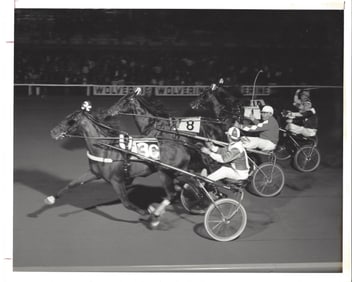 1974 Harness Racing Photo Horse "Surefire Hanover" Wolverine Raceway MI
