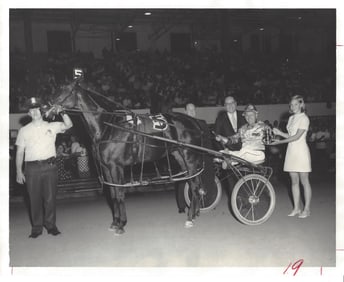 Vintage 1969 Harness Racing Press Photo Horse "Tarport Birdie"