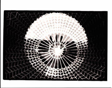 Original 1989 B&W Photographic Artistic Photo Effects.P