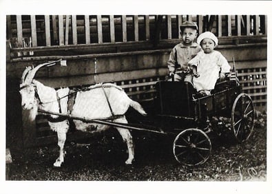 Vintage Postcard Two in a Wagon 1922