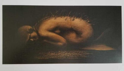 Original Roberto Fabelo Lithograph on Thick Paper