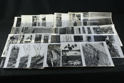 Lot of 40 Vintage Audubon Society Photos Homes, Cards