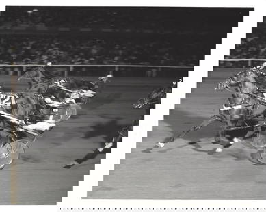 Vintage 1969 Harness Racing Press Photo Horse "Tarport Birdie": Vintage 1969 Harness Racing Press Photo Horse "Tarport Birdie".. Collection of Rare and Vintage Photographs. Approx Size: 10 x 8 inches. Photo may have bent corners, damaged corner and stripes. They m