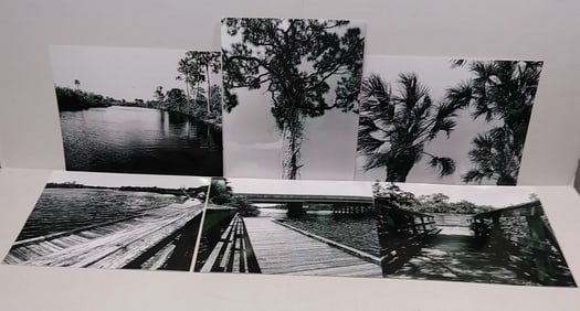 Lot of 6 Signed Black & White Landscape . Indian River-