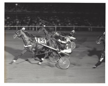 Horse Racing Photo