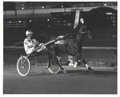 1982 Sportsman's Park. Cicero, Illinois Race Track: 1982 Sportsman's Park. Cicero, Illinois Race Track. "Luongo". .Collection of Rare and Vintage Photographs:Approx Size: 8 x 10 inches. Photo may have bent corners, damaged corner and stripes. They may