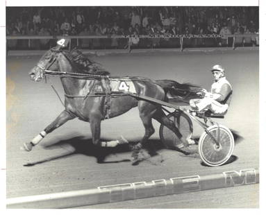 1980 Harness Racing Photo Horse "Super Spur" The Meadowlands NJ: 1980 Harness Racing Photo Horse "Super Spur" The Meadowlands NJ. Provenance: New York-Based Photography Collector & Curator -Collection of Rare Photographs. Approx Size: 8 x 10 inches. Photo may have