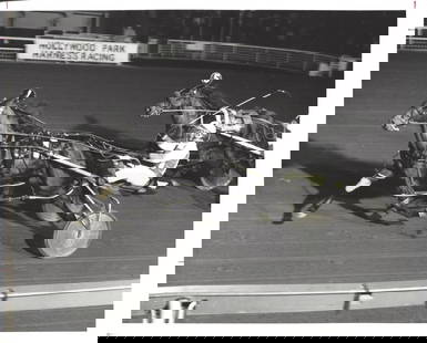 February 4 1982 Harness Racing Photo Horse "Summer Shade" Hollywood Park: February 4 1982 Harness Racing Photo Horse "Summer Shade" Hollywood Park. Provenance: New York-Based Photography Collector & Curator -Collection of Rare Photographs. Approx Size: 8 x 10 inches. Photo
