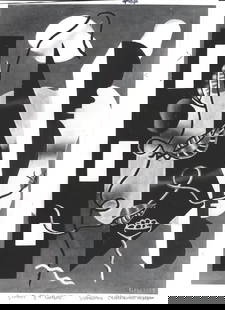 1966 Photo Painting "Composition with Vine" by Fernand Leger: 1966 Photo Painting "Composition with Vine" by Fernand Leger Provenance: New York-Based Photography Collector & Curator -Collection of Rare Photographs. Approx Size: 8 x 10 inches. Photo may have