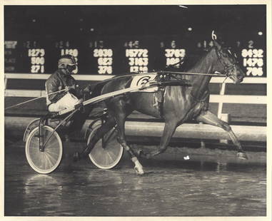 1989 Harness Racing Photo Horse "Mathers Streak" The Meadowlands: 1989 Harness Racing Photo Horse "Mathers Streak" The Meadowlands. Provenance: New York-Based Photography Collector & Curator -Collection of Rare Photographs. Approx Size: 8 x 10 inches. Photo may have