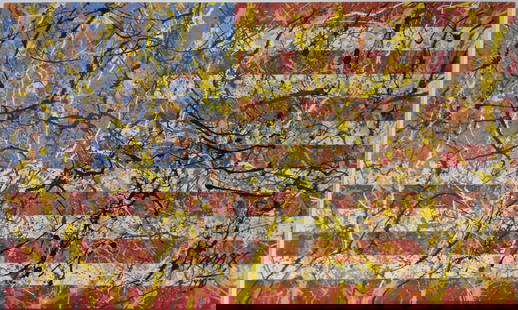 XXL Signed Max 1999 Abstract Flag Expressionism Painting On Canvas. Large Painting: XXL Signed Max 1999 Abstract Flag Expressionism Painting On Canvas. Large Painting. Approx Painting: 60 x 36 x 2 inches.SEE PHOTOS as part of the description. Good vintage condition. NOTE: This