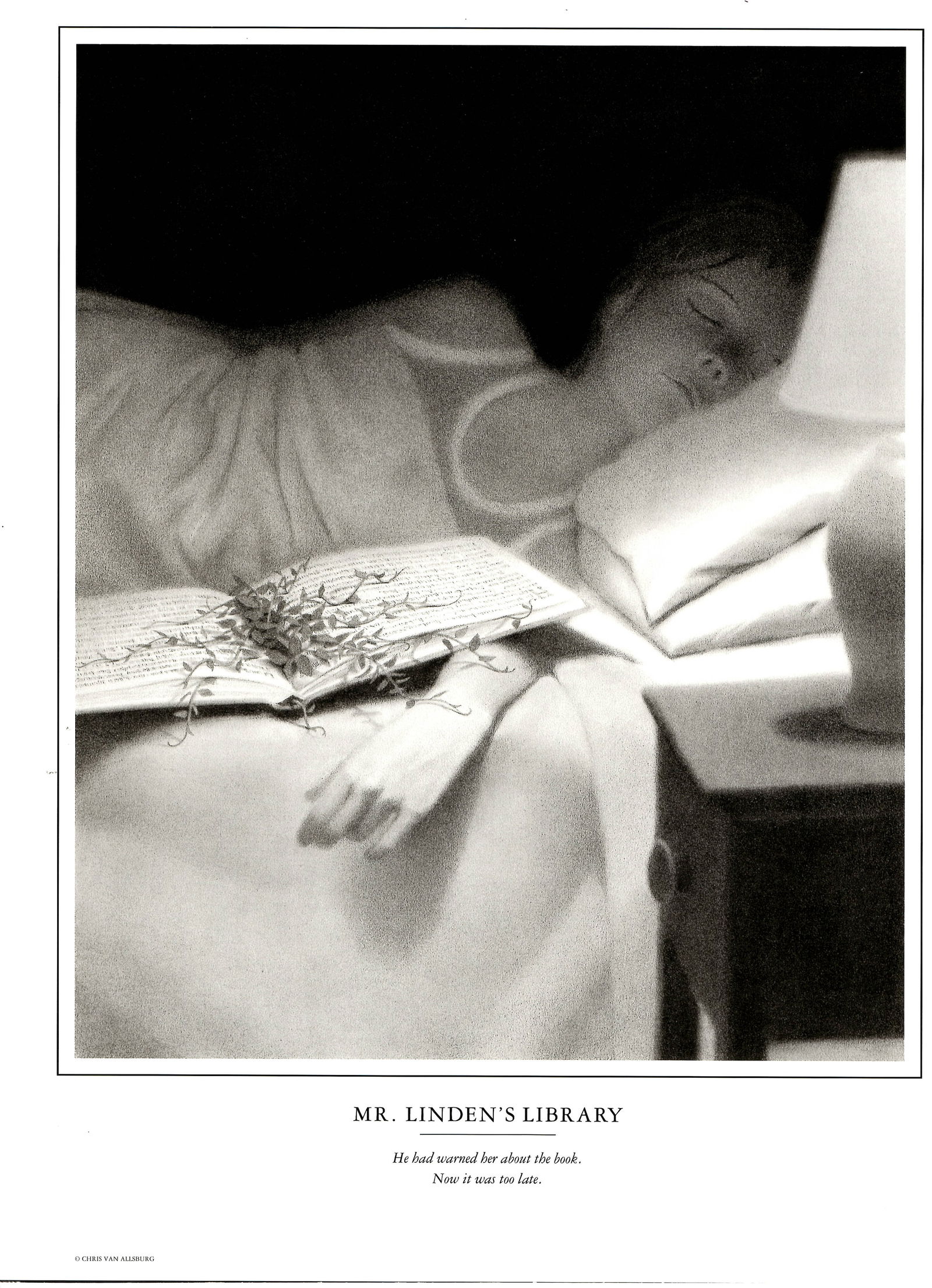 Original Print.A Strange Day in July by the American author Chris Van Allsburg: Original Print.A Strange Day in July by the American author Chris Van Allsburg.Approx Size: 16 x 12 inches. . Good condition. See photos. We pack & Ship for you. We take care of the shipping services