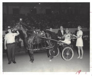 Vintage 1969 Harness Racing Press Photo Horse "Tarport Birdie": Vintage 1969 Harness Racing Press Photo Horse "Tarport Birdie".. Collection of Rare and Vintage Photographs. Approx Size: 10 x 8 inches. Photo may have bent corners, damaged corner and stripes. They m