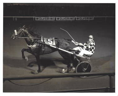 Horse Racing Photo: Horse Racing Photo Collection of Rare and Vintage Photographs:Approx Size: 8 x 10 inches. Photo may have bent corners, damaged corner and stripes. They may have deeds. Please look at the photos carefu