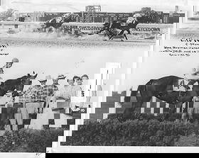 Winner Horse Racing Track 1950's And 60's. Photography: B&W Winner Horse Racing Track 1950's And 60's. Photography. Print Size: 8 x 10 Inches.May have Wrinkling-edge wear-stains-creases —- See photos for condition, Due to the difference in monitor