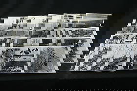 Lot of 40 Vintage Audubon Society Photos Homes, Cards: Collection Of Lot of 40 Vintage Audubon Society Photos Homes, Cards, Roads, Farmland & More. This listing is for forty original vintage black-and-white Audubon Society photos — most 8" x