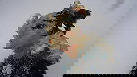 Lois B Herrick Abstract Biomorphic Sculptures: Lois B Herrick Abstract Biomorphic Sculptures. It may have cracks, Missing piece, Scratch,Marks...From Estate of Lois Herrick .Measurements :15" 1/2 x 7"x 6".