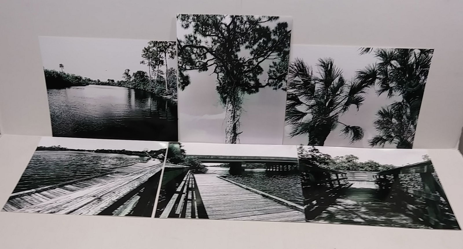 Lot of 6 Signed Black & White Landscape . Indian River- (1 of 5)