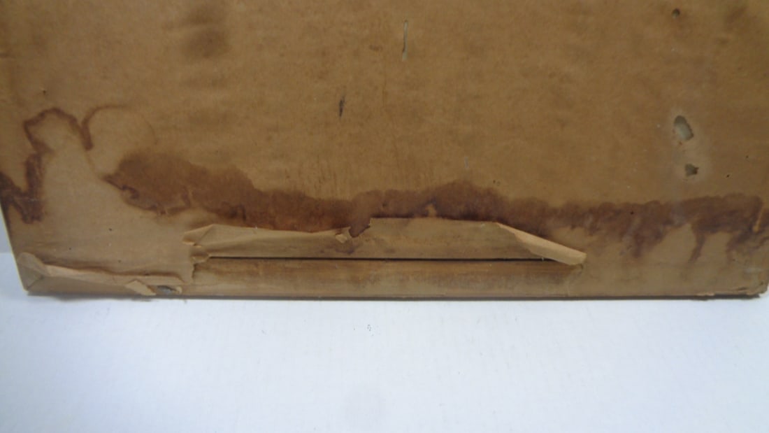 Vintage Hand Colored Bird Print by APP co New York - 7