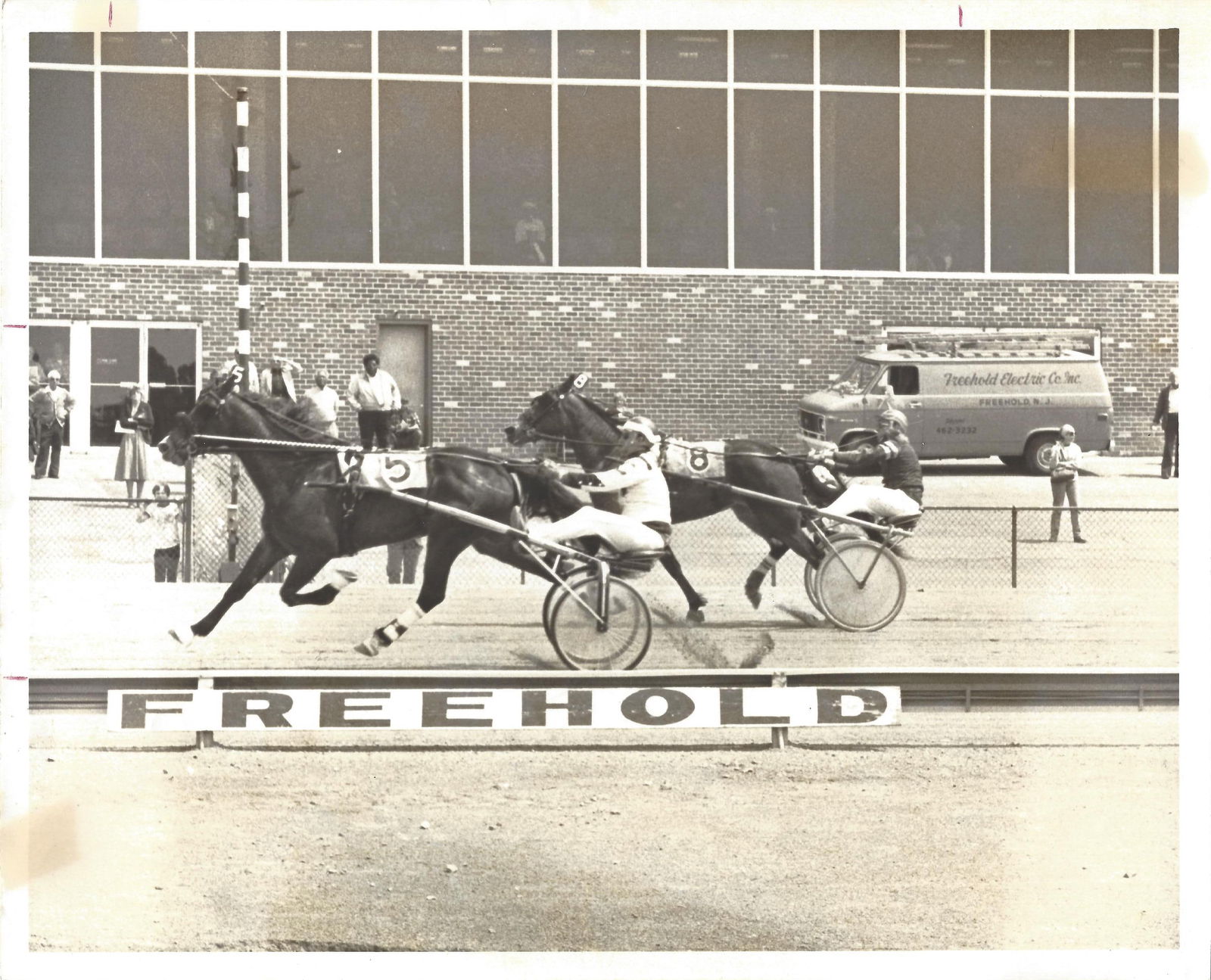 1979 Harness Racing Photo Horse "Twizzle" & Del Cote Freehold Raceway NJ: 1979 Harness Racing Photo Horse "Twizzle" & Del Cote Freehold Raceway NJ.. Collection of Rare and Vintage Photographs. Approx Size: 10 x 8 inches. Photo may have bent corners, damaged corner and strip