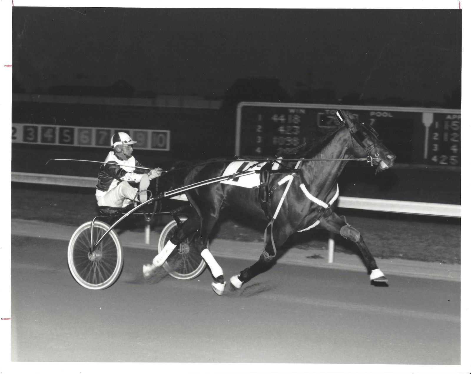 1981 Harness Racing Press Photo Horse "Summit Hill" Billy Haughton Scioto Downs: 1981 Harness Racing Press Photo Horse "Summit Hill" Billy Haughton Scioto Downs Provenance: New York-Based Photography Collector & Curator -Collection of Rare Photographs. Approx Size: 8 x 10 inches.