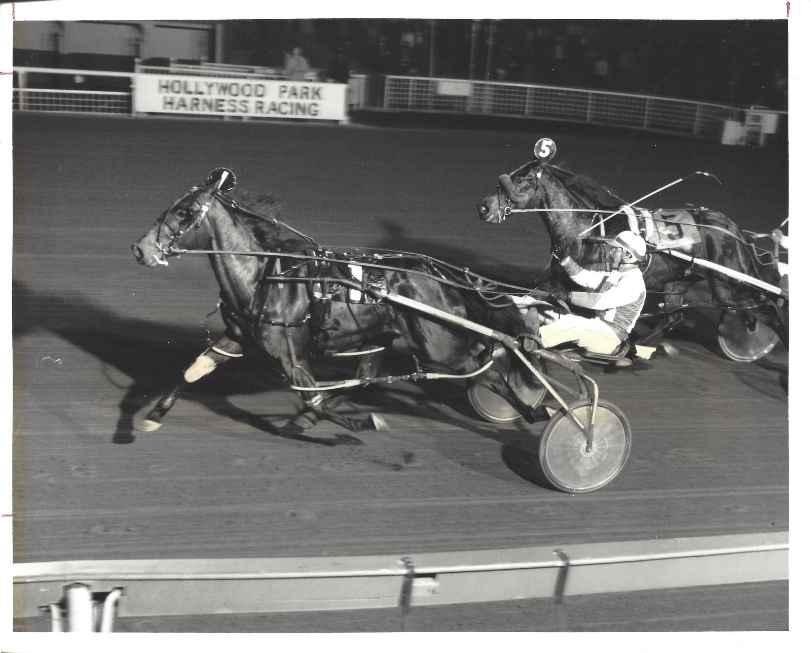 February 4 1982 Harness Racing Photo Horse "Summer Shade" Hollywood Park (1 of 2)