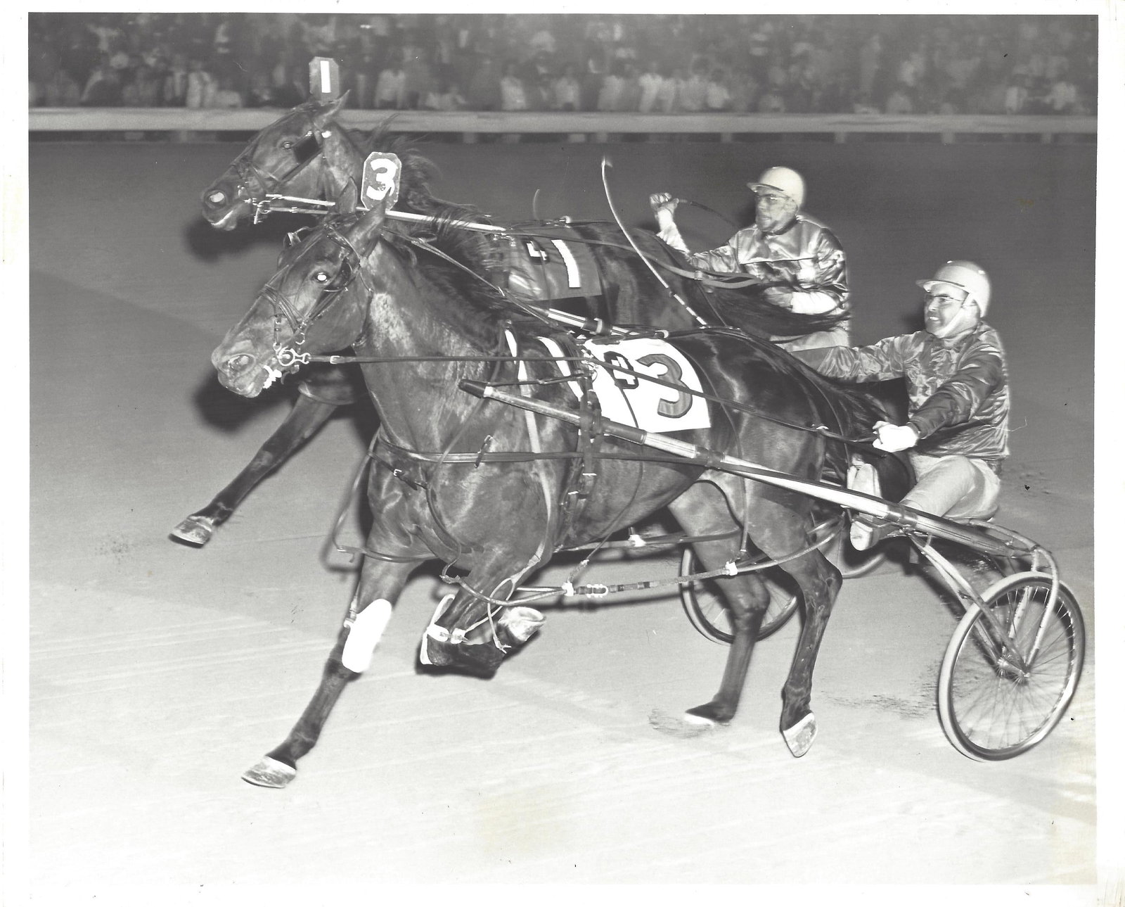 1965 Harness Racing Photo Horse Success Cameo Cleo Young Liberty Bell Park (1 of 2)