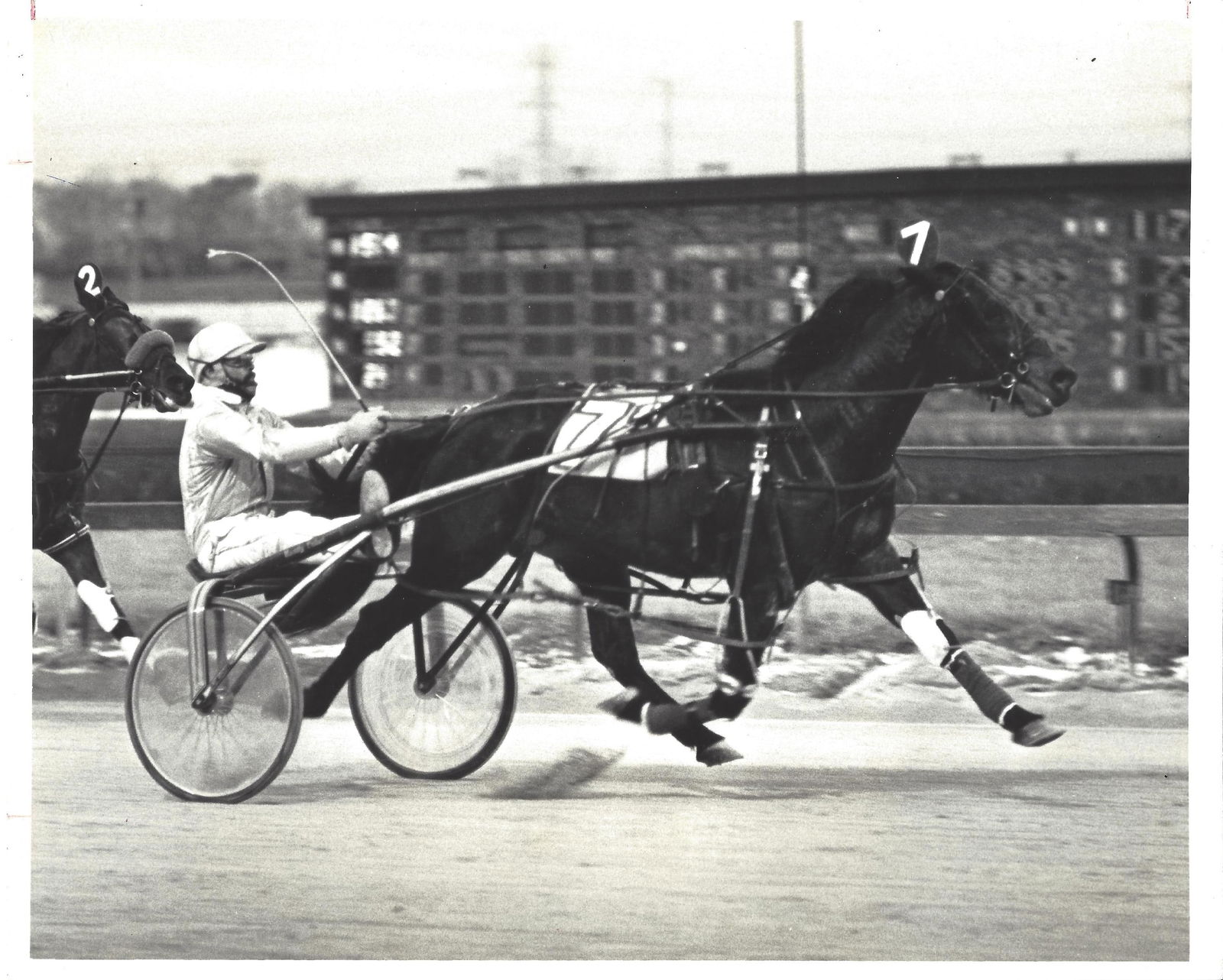 1981 Harness Racing Photo Horse "Sum Time DL" Hawthorne Race Course IL (1 of 2)