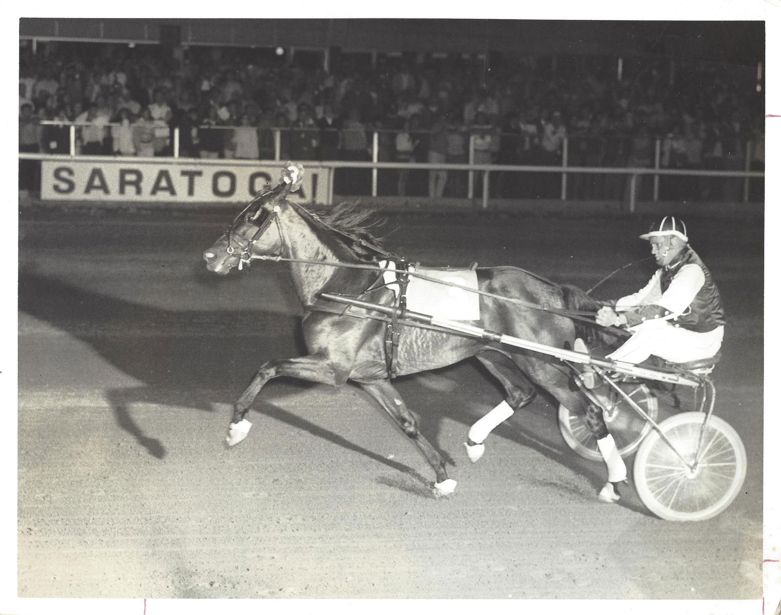 1970 Harness Racing Photo Horse "Vanaro" Bill Popfinger Saratoga New York (1 of 2)