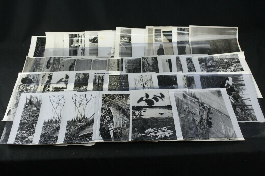 Lot of 40 Vintage Audubon Society Photos.: Lot of 40 Vintage Audubon Society Photos Homes, Cards, Roads, Farmland & More This listing is for forty original vintage black-and-white Audubon Society photos â€” most 8 x 10 inches .Home