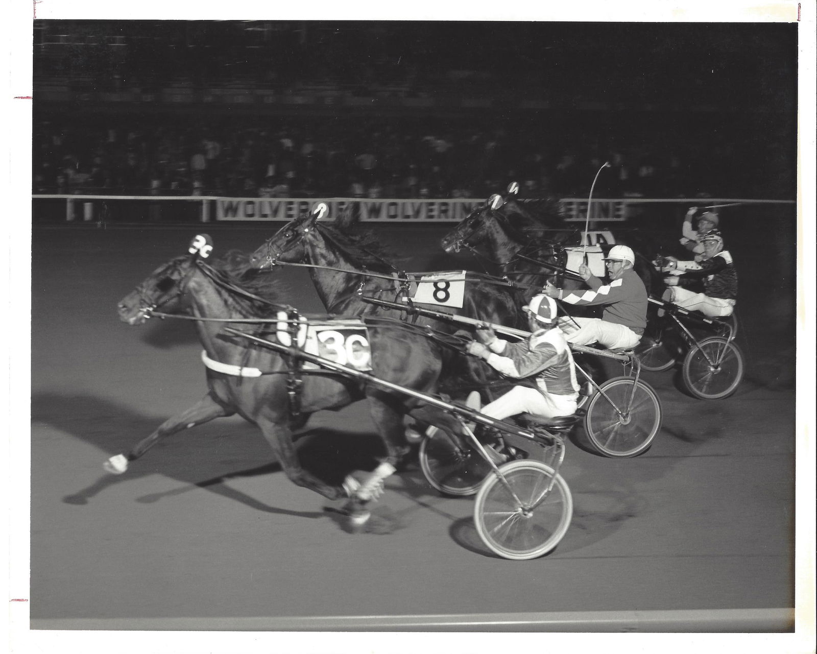 1974 Harness Racing Photo Horse "Surefire Hanover" Wolverine Raceway MI: 1974 Harness Racing Photo Horse "Surefire Hanover" Wolverine Raceway MI.Collection of Rare and Vintage PhotographsApprox Size: 8 x 10 inches. Photo may have bent corners, damaged corner and stripes. T