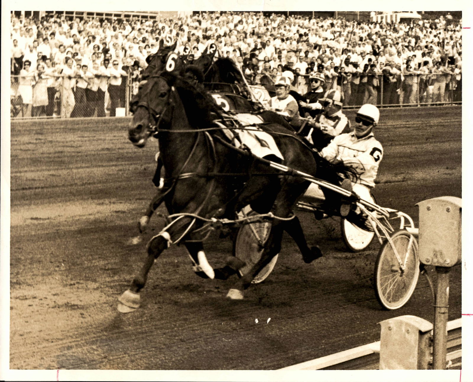 1970 Freehold NJ.Racing Horse Photography: 1970 Freehold NJ.Racing Horse Photography. Provenance: New York-Based Photography Collector & Curator -Collection of Rare Photographs. Approx Size: 8 x 10 inches. Photo may have bent corners, damaged