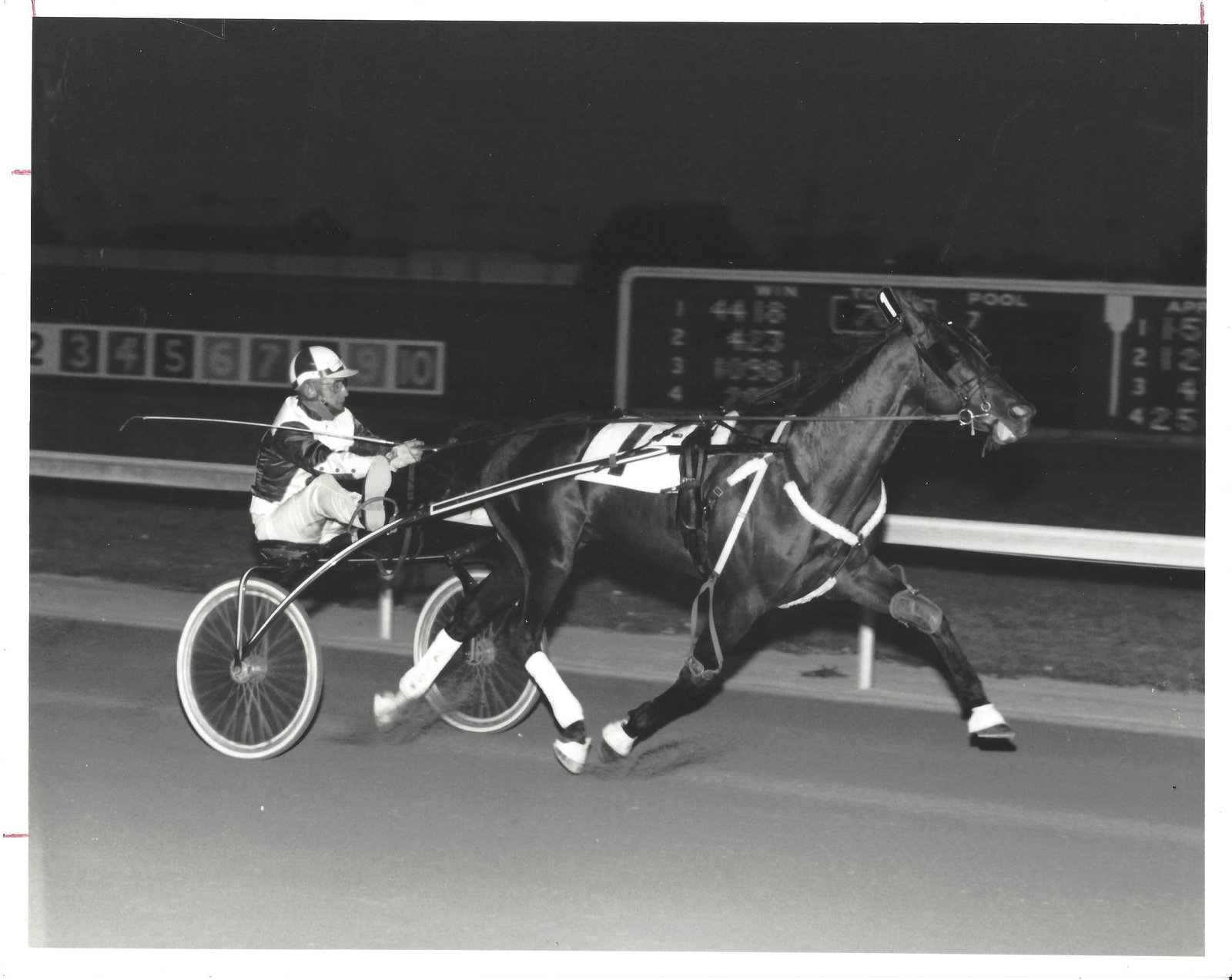 1981 Harness Racing Press Photo Horse "Summit Hill" Billy Haughton Scioto Downs (1 of 2)