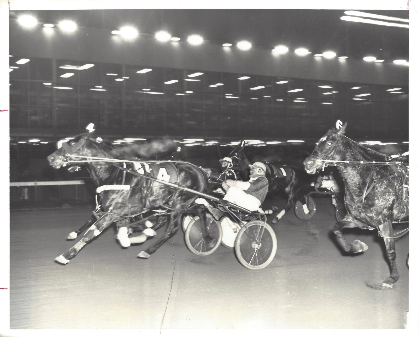 1974 Harness Racing Press Photo Horse "Sudden Sam" (1 of 2)