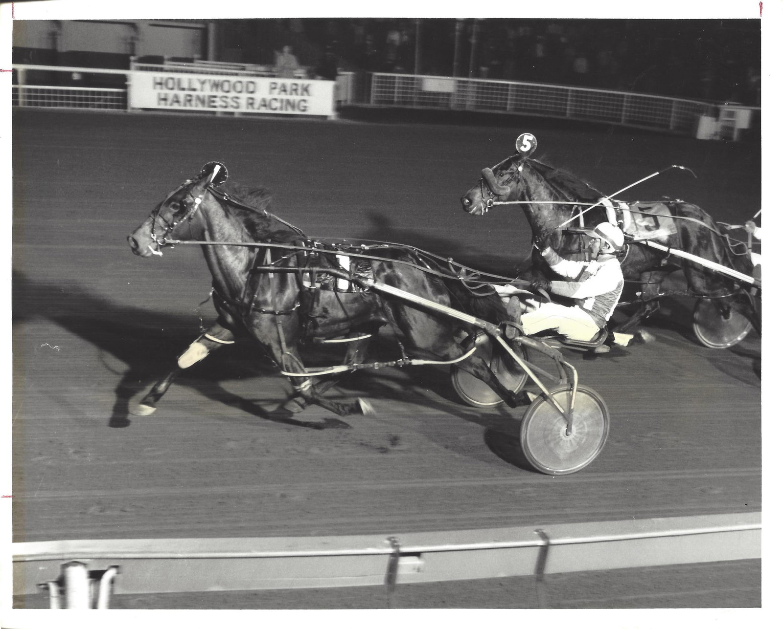 February 4 1982 Harness Racing Photo Horse "Summer Shade" Hollywood Park (1 of 2)