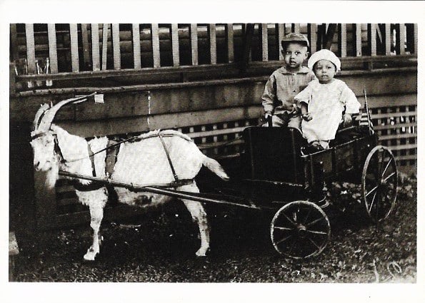 Vintage Postcard Two in a Wagon 1922: Vintage Postcard Two in a Wagon 1922. Collection of Lawrence E Gross. New York.Size: 4 1/4 x 6 inches. Good Vintage condition.See Photo.We pack & Ship for you. We take care of the shipping services in