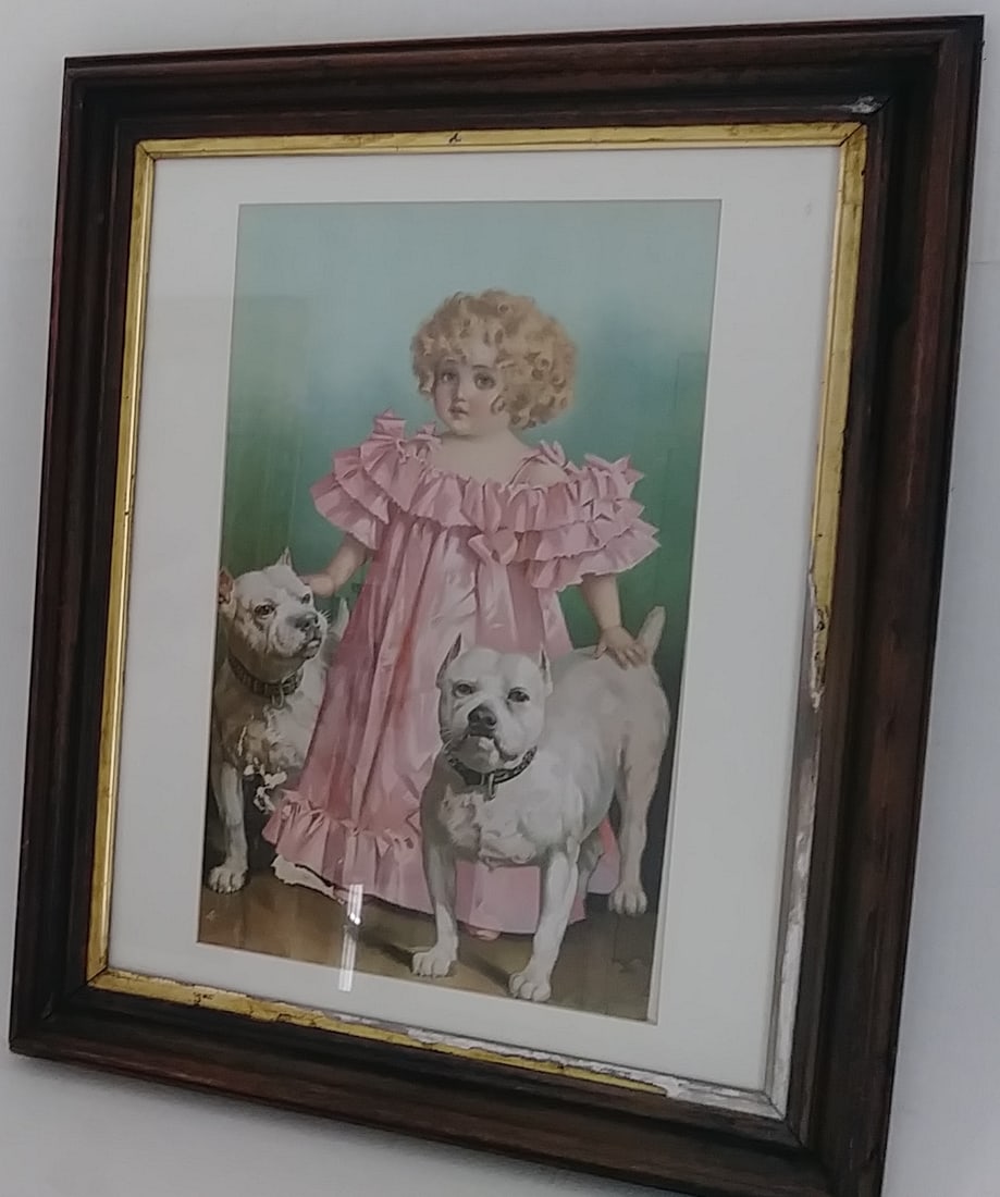 Vintage Framed Print. - 5