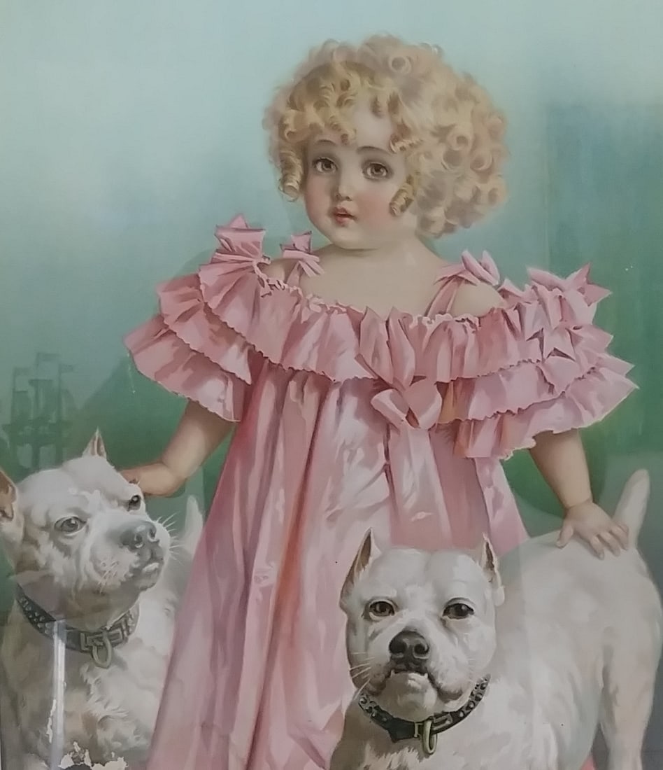 Vintage Framed Print. - 6