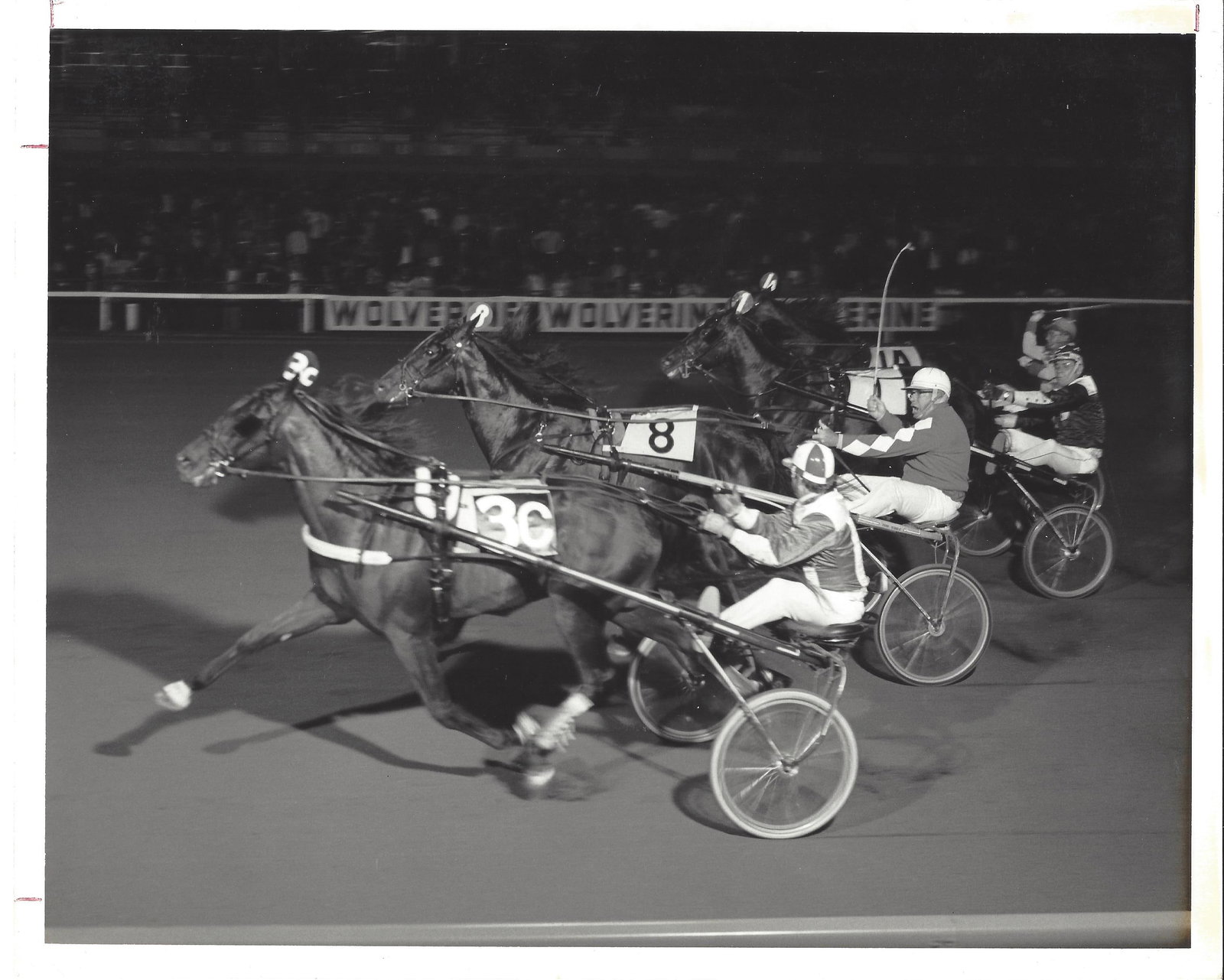 1974 Harness Racing Photo Horse "Surefire Hanover" Wolverine Raceway MI (1 of 2)
