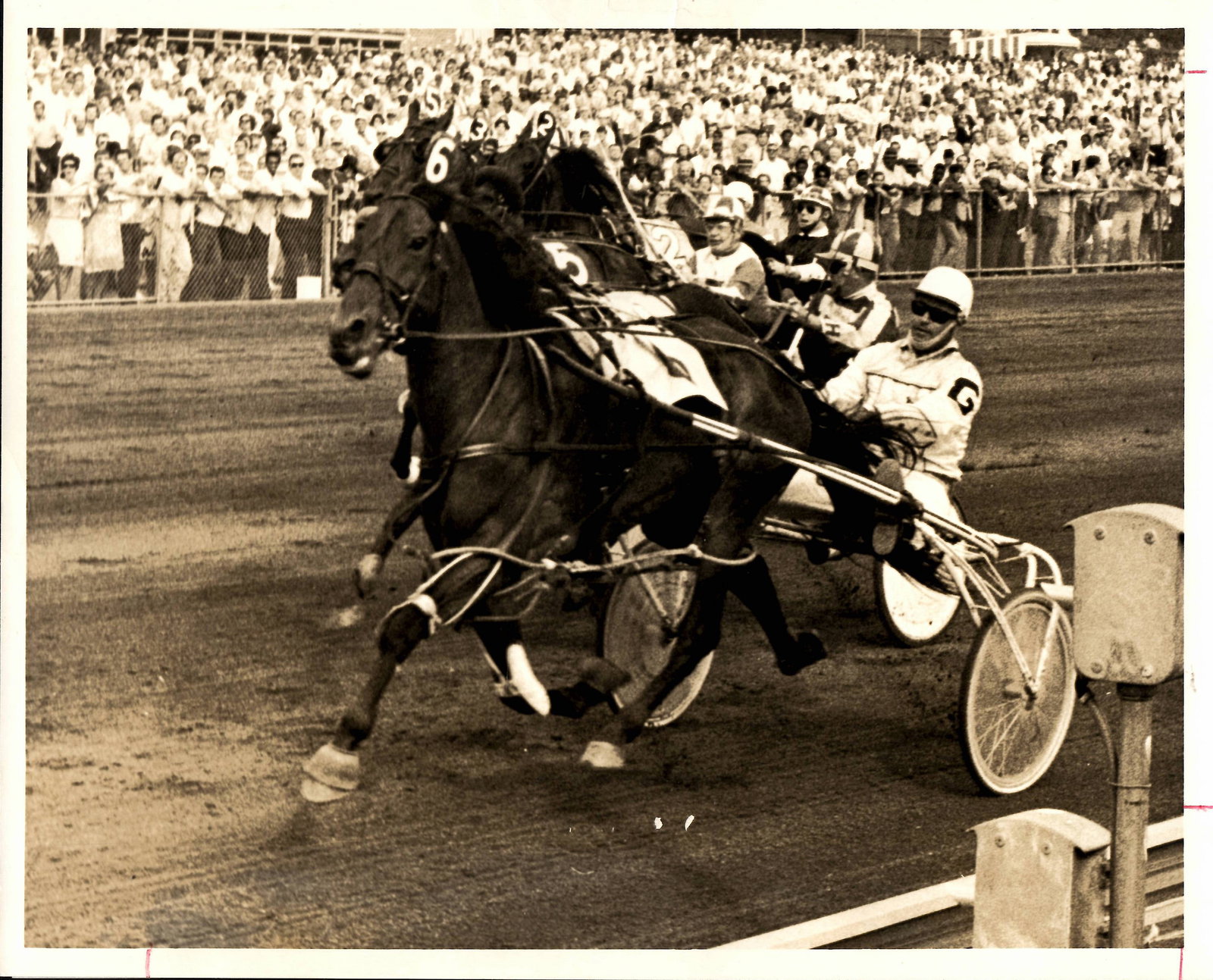 1970 Freehold NJ.Racing Horse Photography (1 of 2)