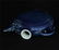 Blue glaze carving porcelain pot of Ming Dynasty YongLe - 5